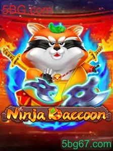 NinjaRaccoon